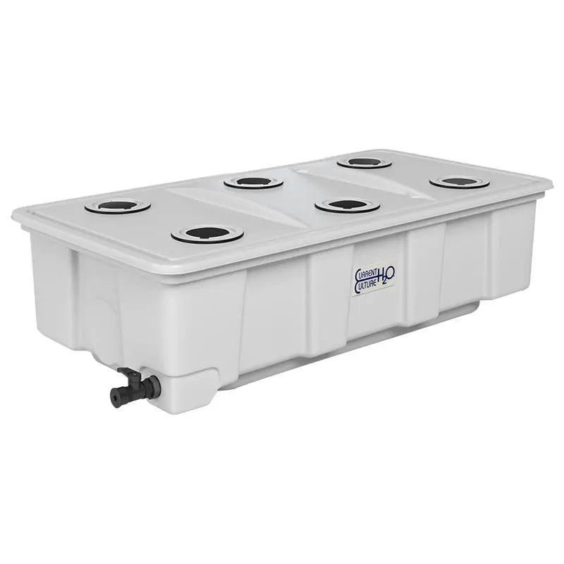 Current Culture® UC Solo Comm 35 Gallon | 6-Site