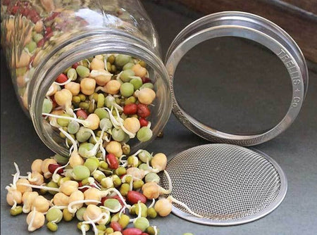 Handy Pantry Sprouting Jar Kit - Quart