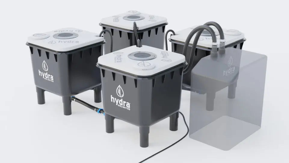 HydraMax 4 Bucket Home RDWC System