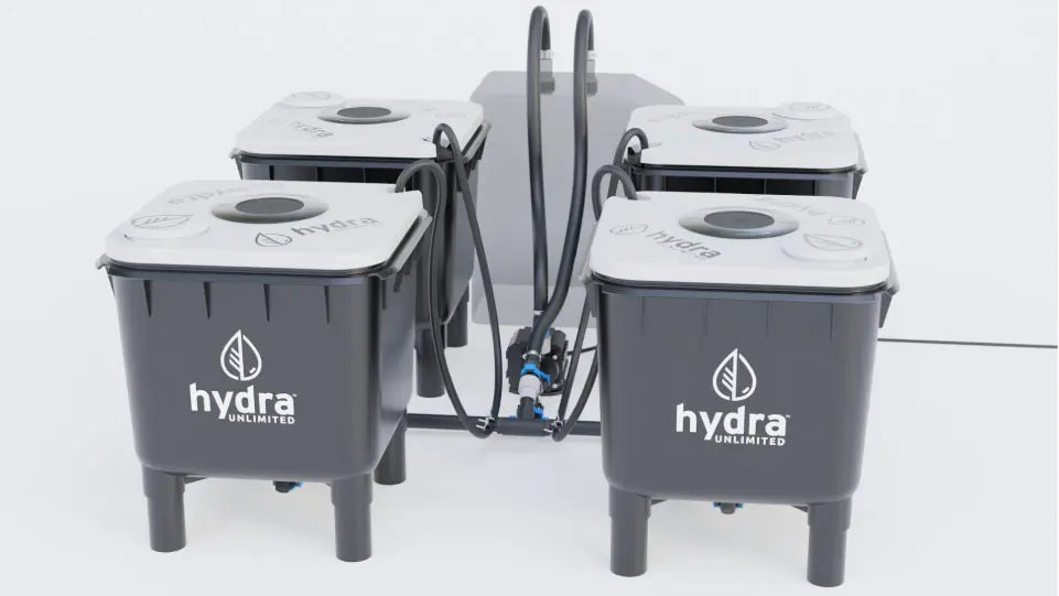 HydraMax 4 Bucket Home RDWC System