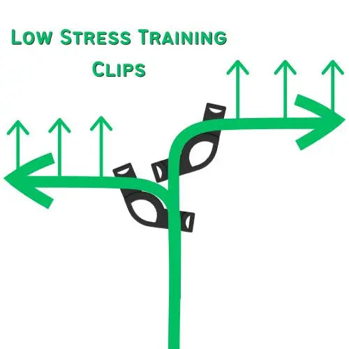 LST - Low Stress Training Clips, X-Large | Pack of 20