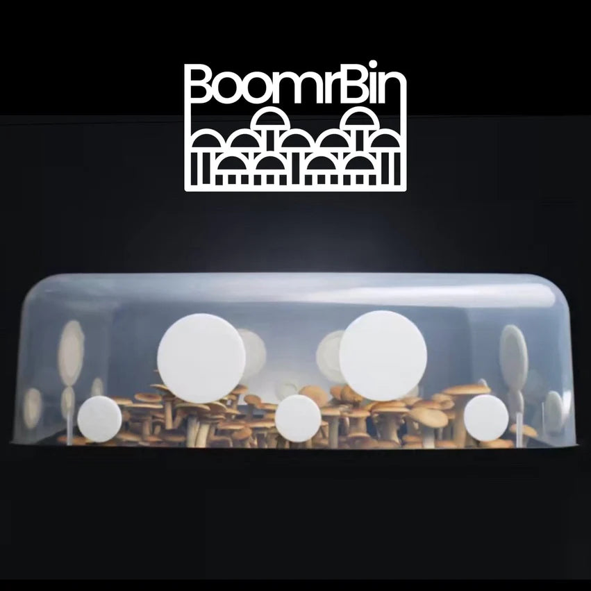 NORTH SPORE 'Boomr Bin' Wood-Loving Monotub Mushroom Grow Kit