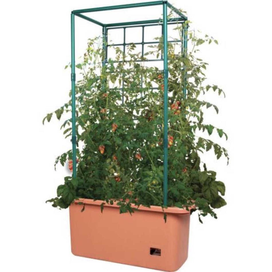 Hydrofarm Tomato Trellis Auto-Water Garden on Wheels Hydrofarm